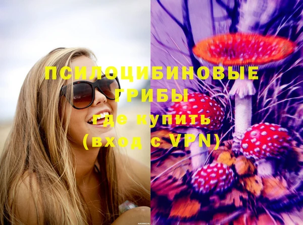 бошки Алзамай
