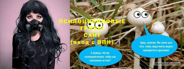 a pvp Алексеевка