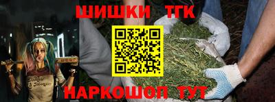 соль ск Славгород