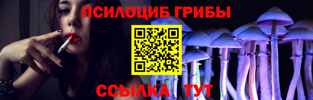 Галлюциногенные грибы Cubensis Тара